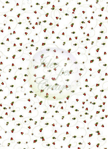 Fondo Fragole cm 50x130