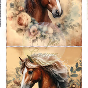 Cuscini Cavalli