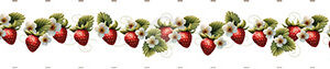 Nastro Bordo Fragole h. 6 cm x 90 cm