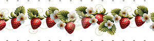 Nastro Bordo Fragole  h.10 cm x 90 cm