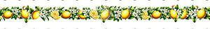 Nastro Bordo Limoni h. 4 cm x 90 cm