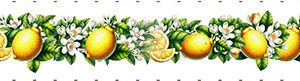 Nastro Bordo Limoni h.10 cm x 90 cm