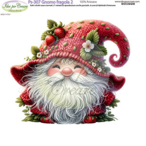 Pannello cm 25x25 Gnomo Fragola 2