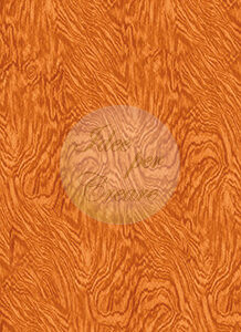 Fondo Arancio cm 50x130