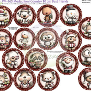 Pannello cm 40x50 Medaglioni cm 10 Best Friends