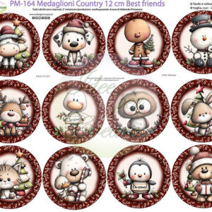 Pannello cm 40x50 Medaglioni cm 12 Best Friends