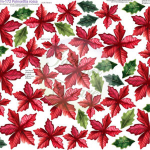 Pannello cm 40x50 poinsettia rossa