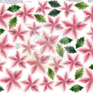 Pannello cm 40x50 poinsettia rosa