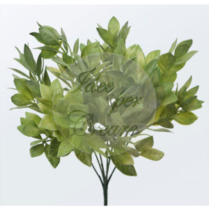 Picck Foglie alt. cm 33