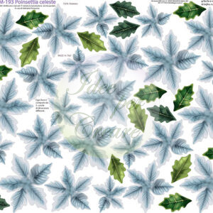 Pannello cm 40x50 poinsettia Celeste