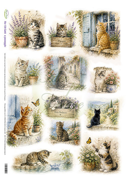 Carta Riso Gatti a passeggio